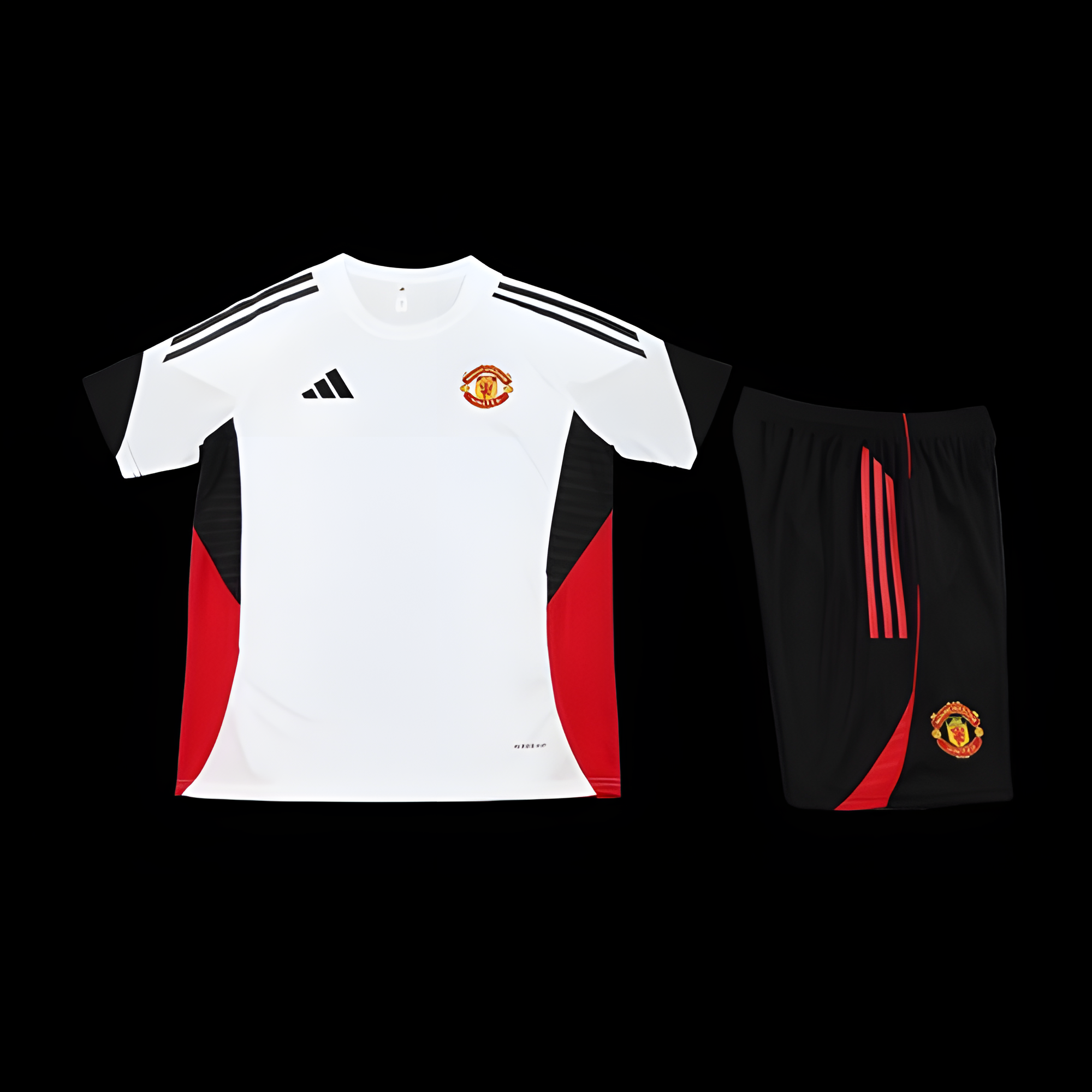 Ensemble Manchester United